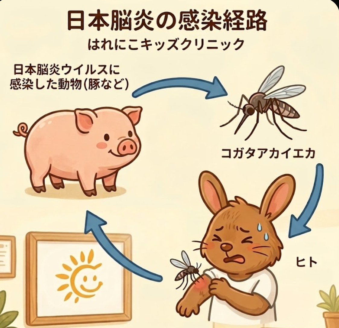 日本脳炎、いつ打つのが正解？2期・追加接種は？